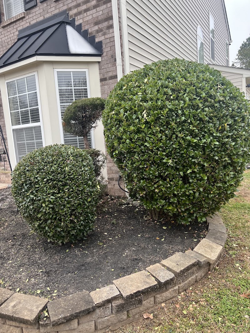 New grass life LLC at work