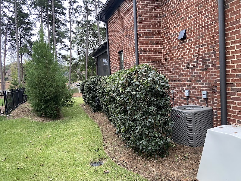 New grass life LLC at work