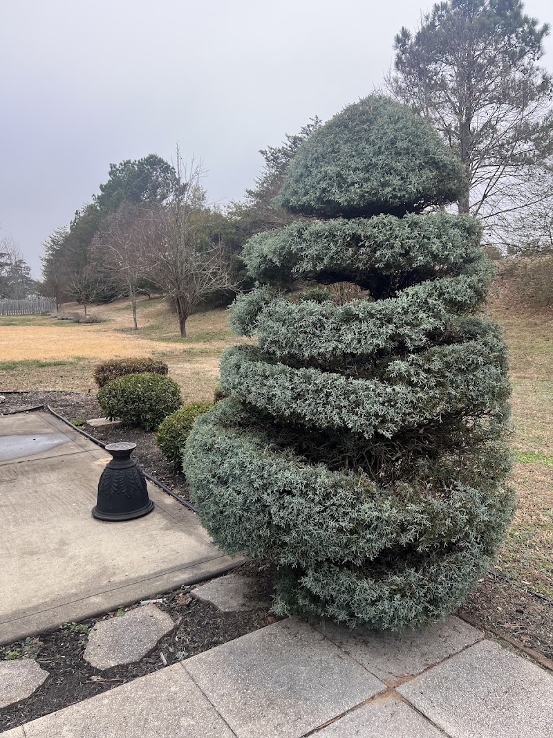 New grass life LLC at work